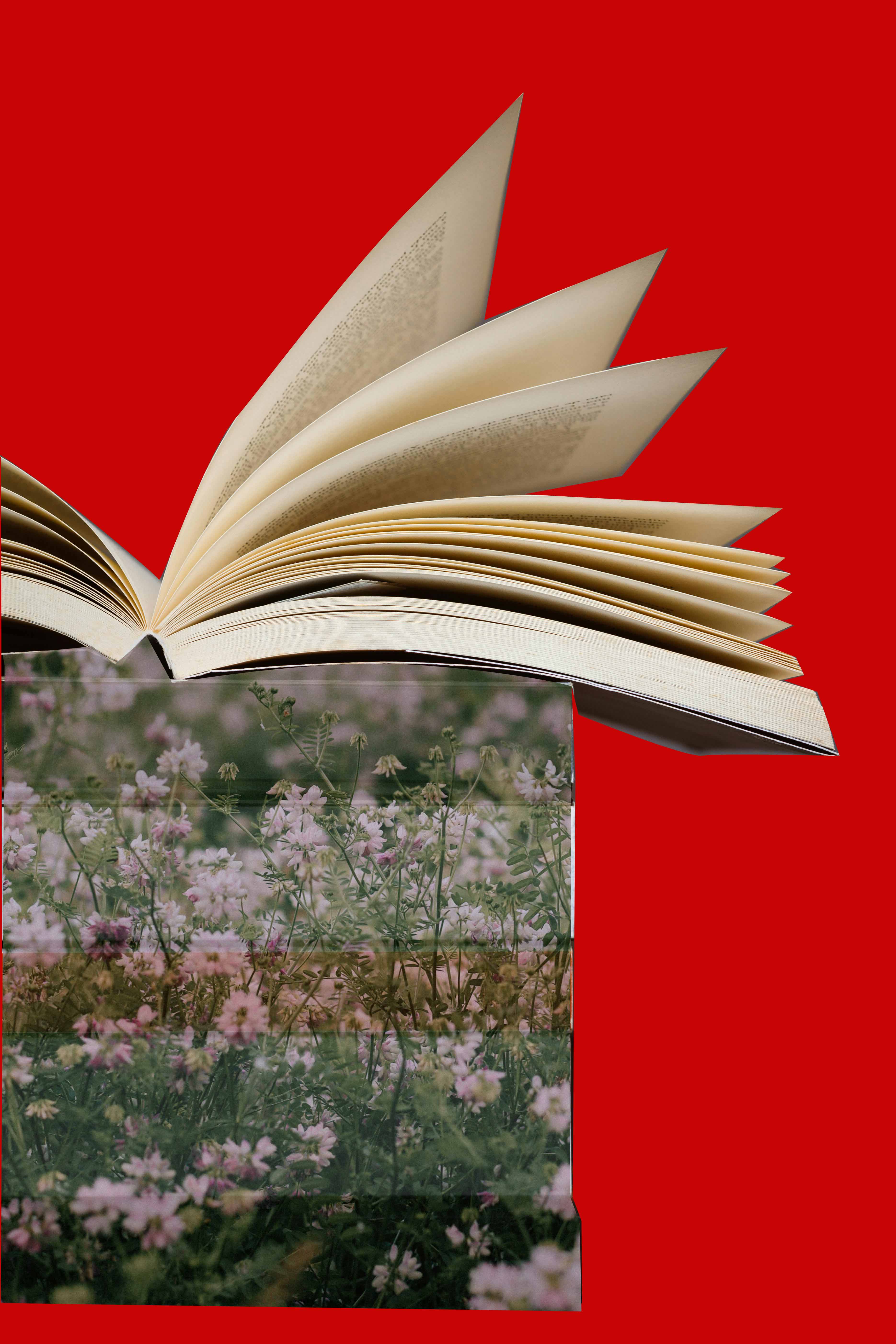 The Digital Design Book - Digital Print